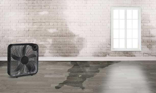 Best 24-hour water damage restoration  in Riverdale Park, MD