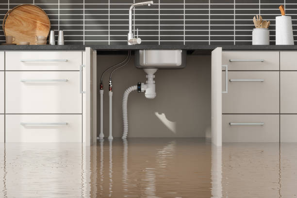 Best Local water damage restoration  in Riverdale Park, MD