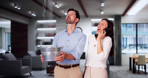 Best Sewage cleanup and water damage restoration  in Riverdale Park, MD